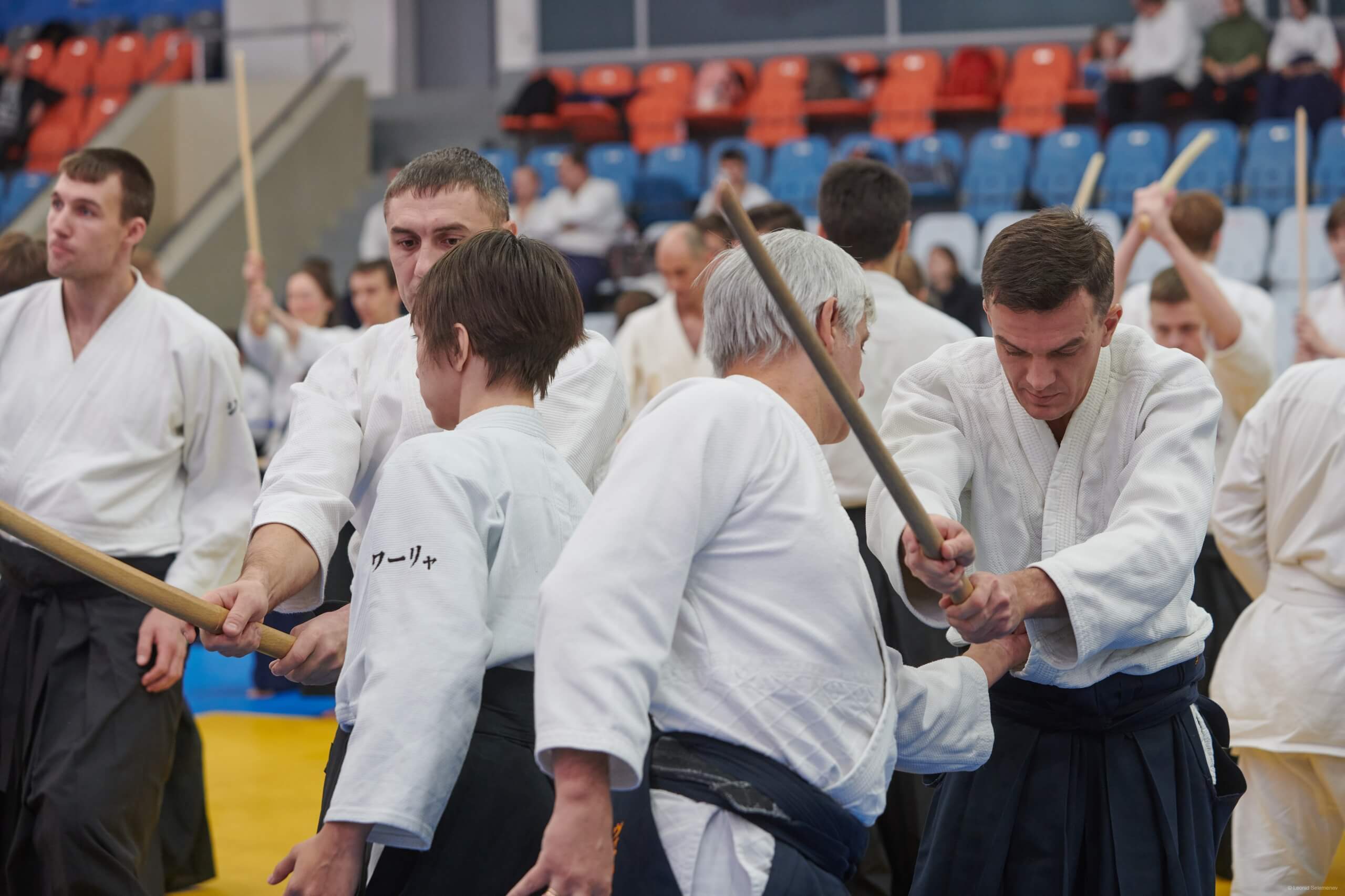 4-й Фестиваль «V Всероссийский Тайкай Айкидо» (25)