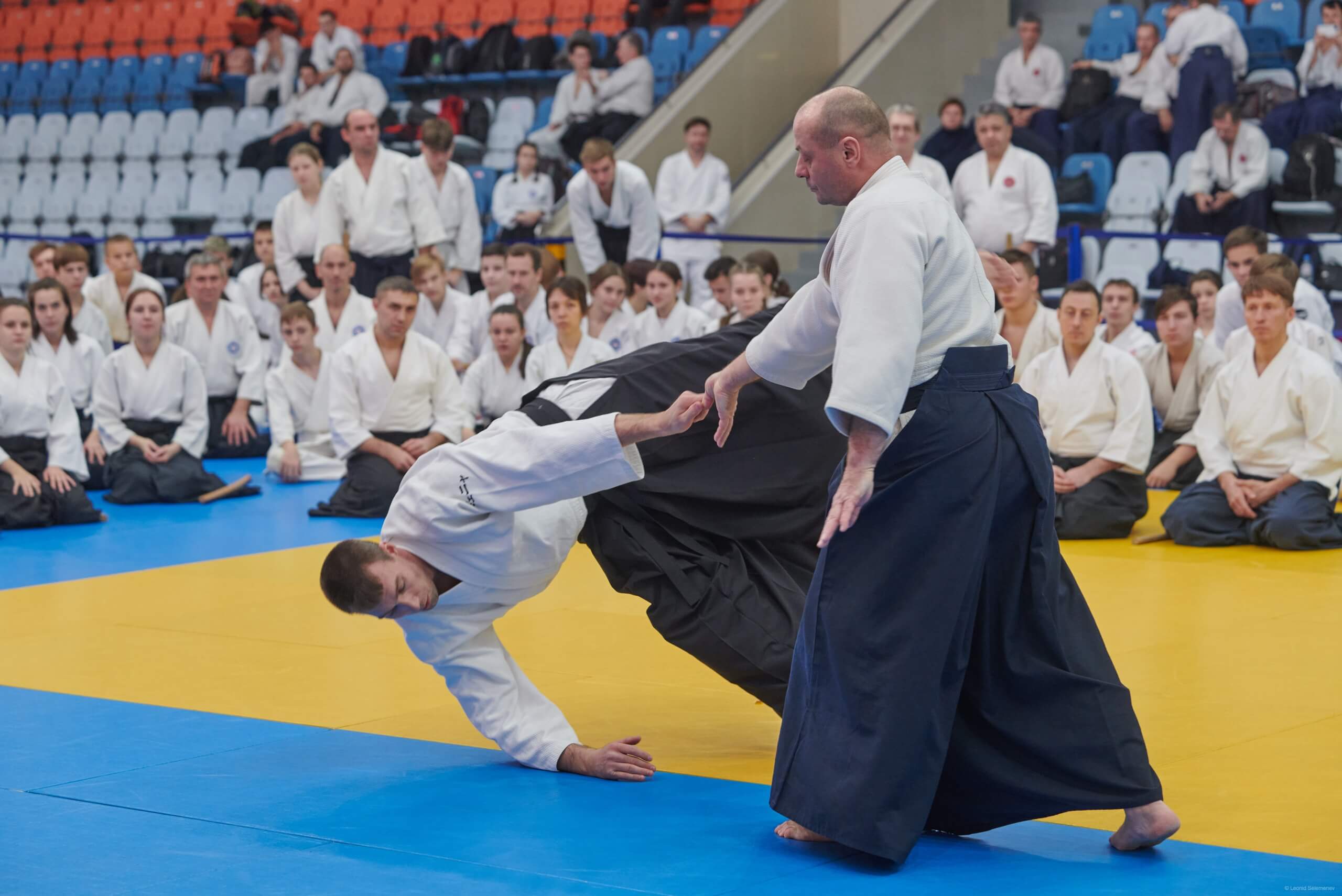 4-й Фестиваль «V Всероссийский Тайкай Айкидо» (43)
