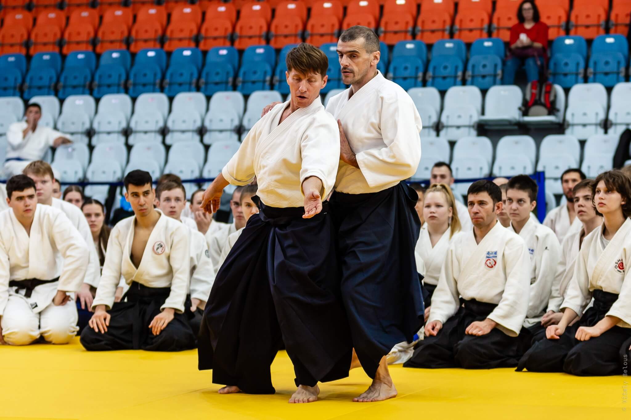 5- й Фестиваль «V Всероссийский Тайкай Айкидо» (20)