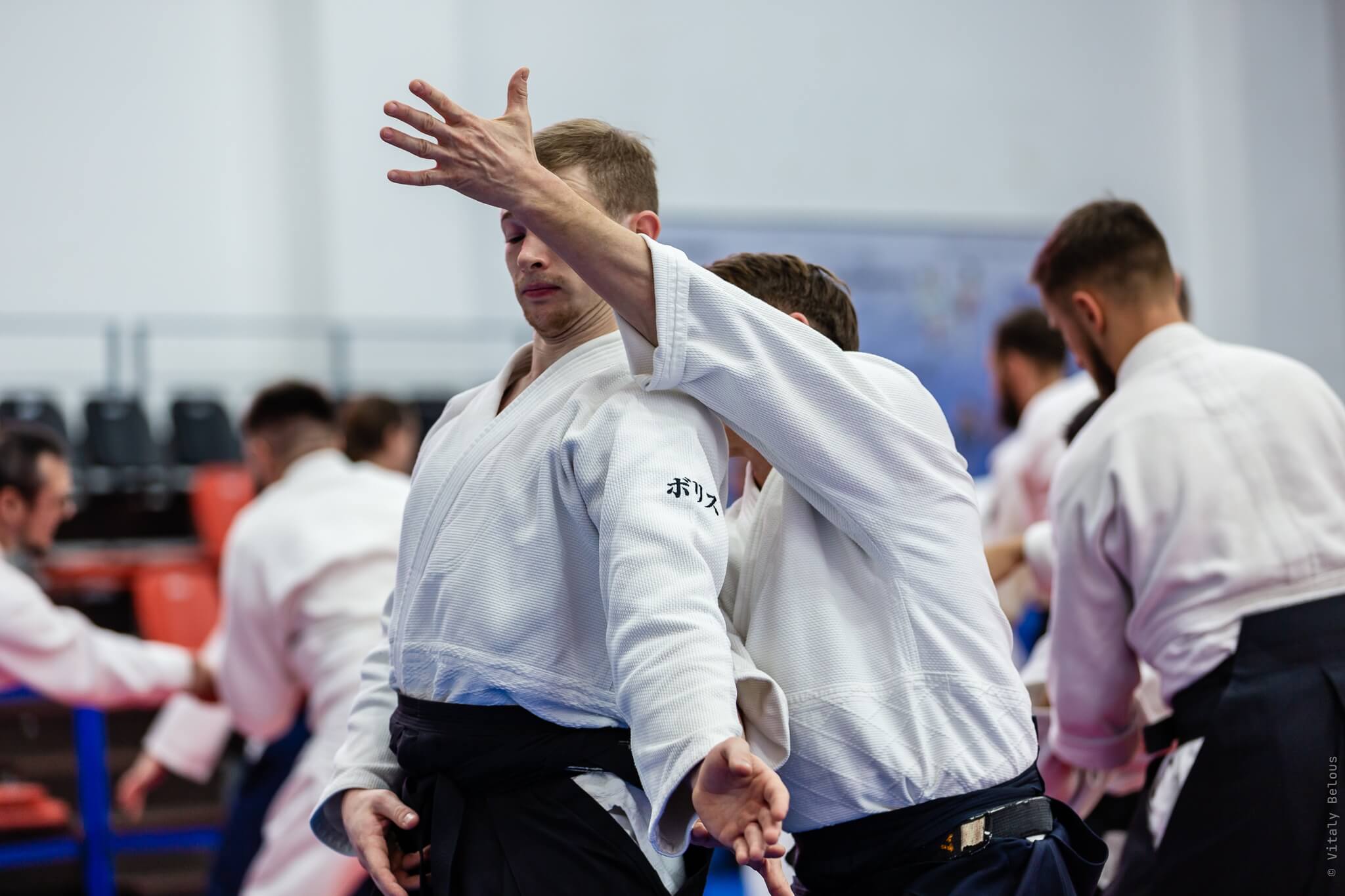 5- й Фестиваль «V Всероссийский Тайкай Айкидо» (60)