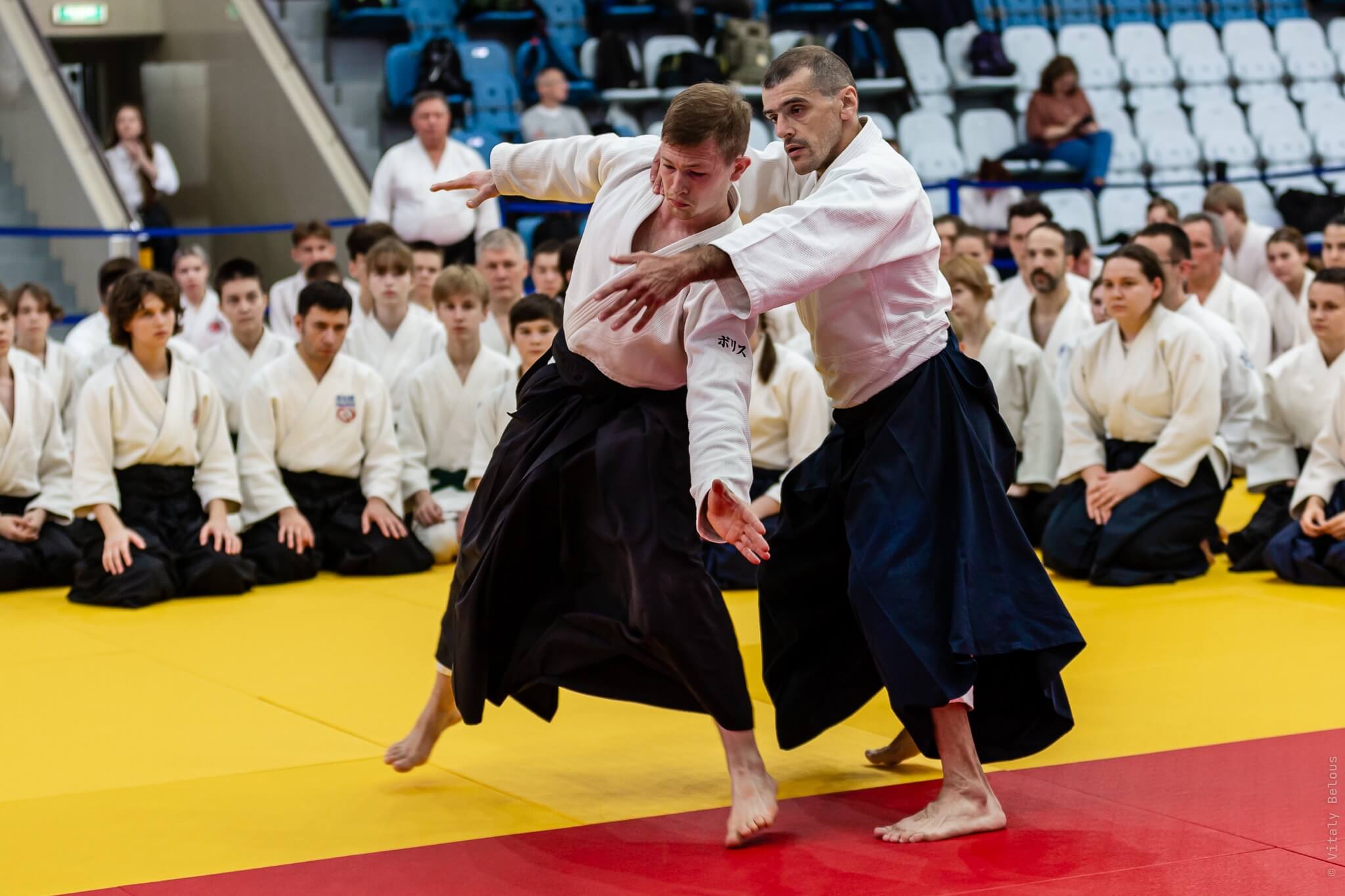 5- й Фестиваль «V Всероссийский Тайкай Айкидо» (95)