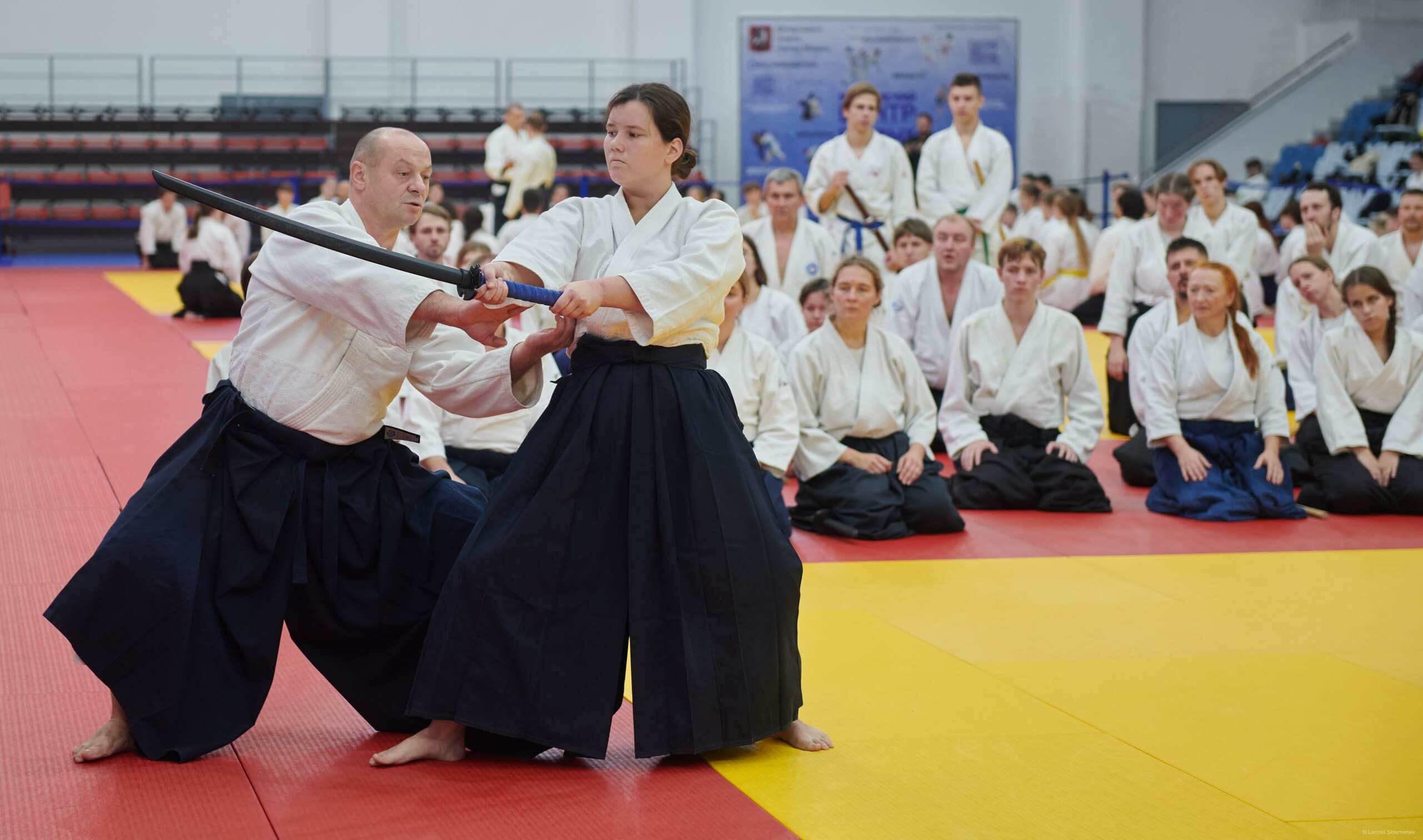 6 -й Фестиваль «V Всероссийский Тайкай Айкидо» (14)