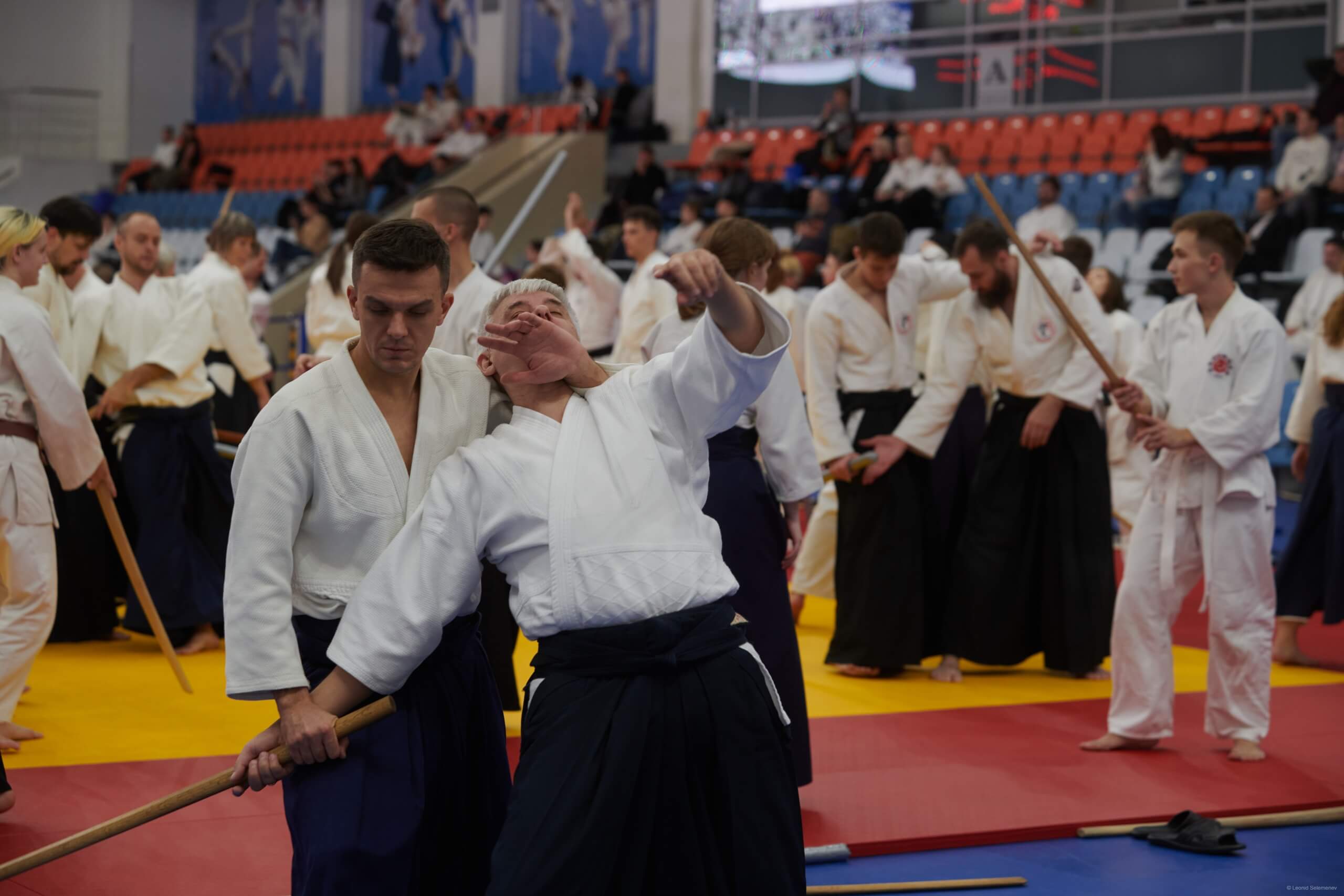 6 -й Фестиваль «V Всероссийский Тайкай Айкидо» (16)