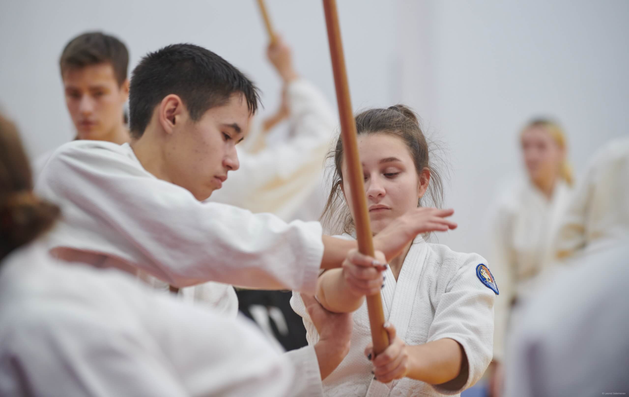 6 -й Фестиваль «V Всероссийский Тайкай Айкидо» (19)