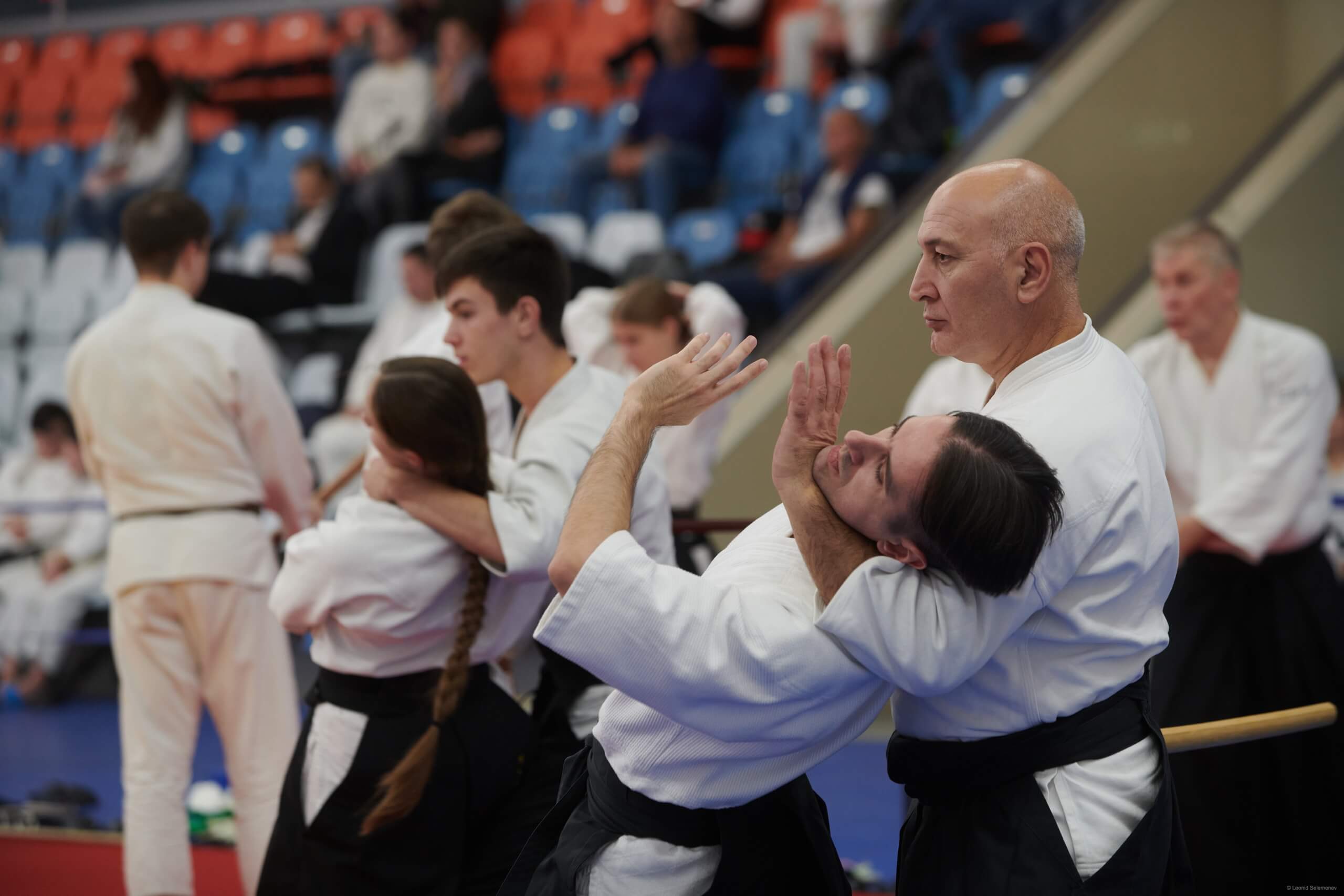 6 -й Фестиваль «V Всероссийский Тайкай Айкидо» (9)